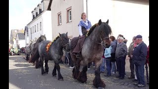 Historisches Erntedankfest in Blankenheim Dollendorf 01102017 [upl. by Margette]