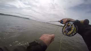 Video 13  Acrobatic Scottish Estuary Sea Trout Video 2  improved quality [upl. by Terrijo]