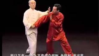 Ma HongApplications of Taichi Chen Style3 马虹—陈式太极拳拆拳讲劲三 [upl. by Joh]