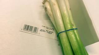 SPRING ONION  BUNCHING TAGGING PRINTING AND CUTTING LINE [upl. by Hild908]