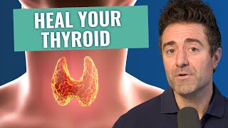 The 3 BEST and WORST Hashimoto’s Thyroiditis Treatments [upl. by Hooge]