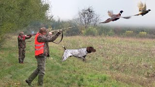 Hunting Serbia  Pheasant hunting  Lov fazana u lovištu Rit  Beograd I deo  Caccia al fagiano [upl. by Hgierb]