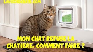 Mon chat 🐱 refuse la chatière comment faire [upl. by Dat]