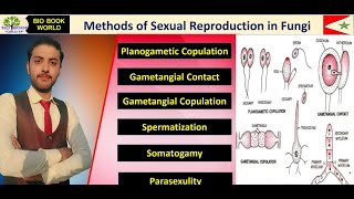 Methods of Sexual Reproduction in Fungi  Planogametic Copulation  Gametangial Contact  Hindi [upl. by Gates738]