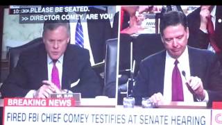 The quotComey Hearingquot Song [upl. by Ranice]