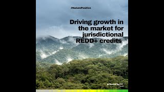 Nature Positive Hub Driving growth in the market for jurisdictional REDD credits [upl. by Dorcia138]