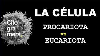 Célula Procariota y Eucariota Diferencias y características [upl. by Jorry]