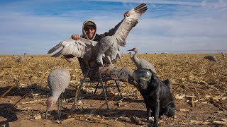 Hunting Giant Texas Sandhill Cranes Catch Clean Cook [upl. by Possing]