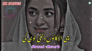 Che alakano zulfe loye k tapay slowed reverb  SR SONGS [upl. by Kisor103]