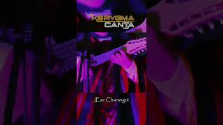 ¡Suena charanguito 🎶🤍 charango folkloreperuano folkloreboliviano [upl. by Nannah]