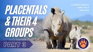 EP 3 What are Placental Mammals [upl. by Whang259]