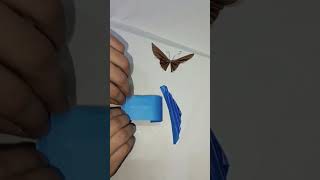 Paper butterfly🦋shortsyoutubecraft [upl. by Warfold580]