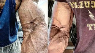 How To Build MASSIVE Forearms  Top 3 Exercises  With Hercules Fit [upl. by Drahsir]