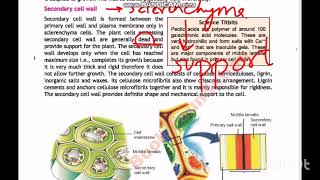 NBF New Book Biology Class 11  Unit  1 Cell and Sub Cellular Organelles  Lecture Part 2 [upl. by Yvor986]