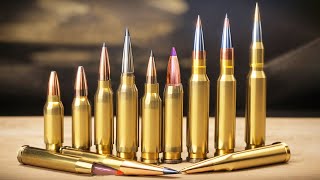 Best Long Range Calibers in 2024 Weve Tested Them All [upl. by Secundas]