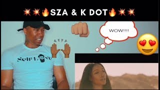 Sza  Doves in the wind Official Video ft Kendrick Lamar REACTION [upl. by Trocki392]