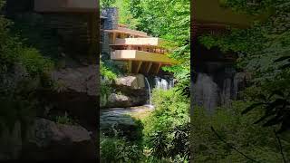 Fallingwater fallingwater franklloydwright nature [upl. by Karry739]