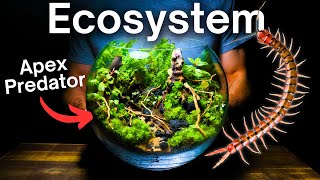 Creating a Multi Species Ecosystem Inside a Glass Bowl [upl. by Clementas913]