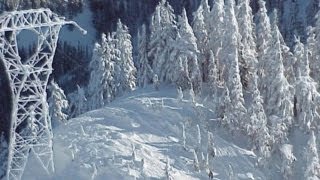 Avalanche in Washington Kills 3 Skiers [upl. by Olvan]