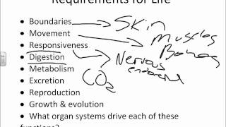 Chapter 1 Introduction to Anatomy and Physiologywmv [upl. by Ydnir]