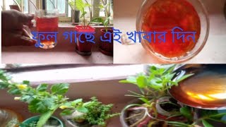 গাছের যত্নে পেয়াজের খোসার গুনাগুন🥰videogarden [upl. by Obidiah]