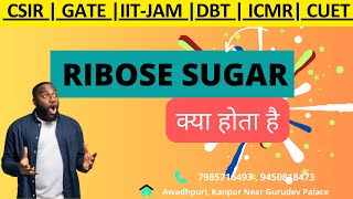 Ribose Sugar  Phosphate  DNA  RNA  Biochemistry  CSIR  GATE  IITJAM DBT genesisinstitute [upl. by Sorel]