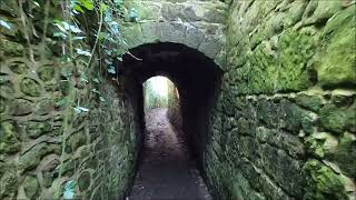 Virtual Walk  Niton Tunnels  Niton Undercliff  Isle Of Wight  January 2022  kittikoko iow [upl. by Noeht327]