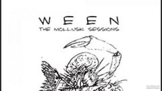 Ween  Mollusk Sessions  Mutilated Lips [upl. by Lanfri]