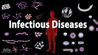 Infectious Diseases Overview Animation [upl. by Ynnatirb]