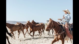 Exploring the Wild of Campwood Cattle Company  Ranch Life Arizona Adventure Sustainable Ranching [upl. by Bonar222]