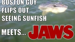 Boston Guy reacts to Sunfish  JAWS mashup trailer [upl. by Emmalyn]