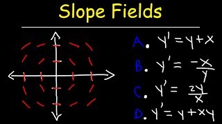 Slope Fields  Calculus [upl. by Eldorado]