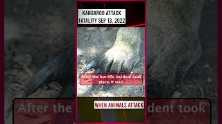 Australias First FATAL Kangaroo Attack in 86 Years [upl. by Ecadnarb53]