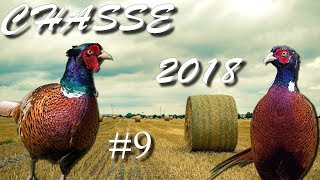 CHASSE DU FAISAN EN SOLOGNE AU 410 MAGNUM 9 2018 [upl. by Onifur33]