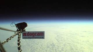 DogCamSport flies to the edge of space 110000ft on a balloon [upl. by Knudson]