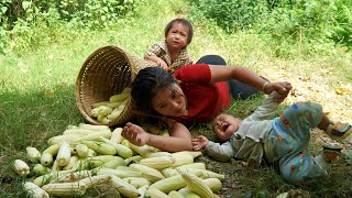 Harvest boiled corn and bring it to the market to sell  buy new clothes to keep your children warm [upl. by Eiclud330]