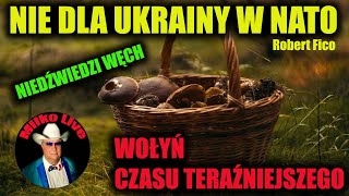 Nie dla Ukrainy w NATO Niemcy a Polska Armia Wołyń czasu teraźniejszego Niedźwiedzie na grzybach [upl. by Tennes312]