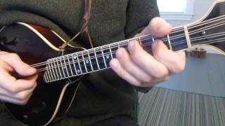 Cooleys Reel with Tabs  Mandolin Lesson [upl. by Douglass51]