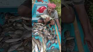 കരിമീനും വാളയും കൊണ്ട് വള്ളം നിറച്ചു🐠 fishing kuttanadanfishing fishing കുട്ടനാടൻഫിഷിങ് fish [upl. by Monjo]