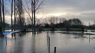 Parcours Hexia Cyclocross Gullegem onder water gelopen [upl. by Hahnert76]