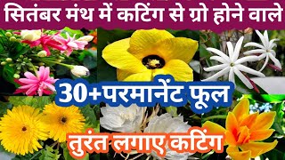 September Month मे कटिंग से ग्रो होने वाले 30परमानेंट फूल Parmanent Flowering Plant Grow By Cutting [upl. by Dranyer]