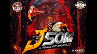 SET AO VIVO J SOM A MAJESTOSA FENIX DO MARAJO EM PARAGOMINAS 10 08 2024 DJ GABRIEL SOUND [upl. by Malanie]