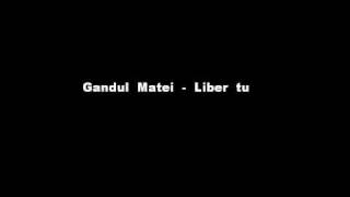 Gandul Matei  Liber tu [upl. by Behlke]