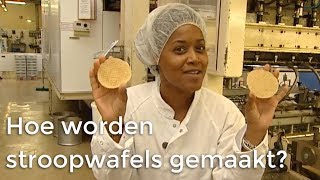 Hoe worden stroopwafels gemaakt  Doen Ze Dat Zo  Het Klokhuis [upl. by Kellby]