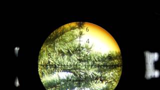 IOR 325x50 LUTAZ Reticle and Zoom Footage [upl. by Gorman]