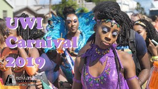 UWI Carnival 2019 Cave Hill Campus Barbados [upl. by Carrie]