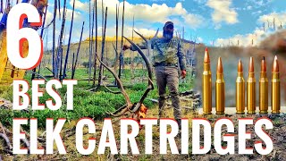 6 Best Elk Cartridges Tips from a Professional Guide [upl. by Freemon]