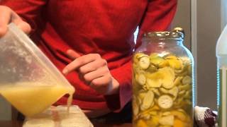 Preserving lemons and limes freezing juice [upl. by Ocisnarf]