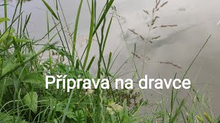 LIVE  PŘÍPRAVA NA DRAVCE [upl. by Aara]