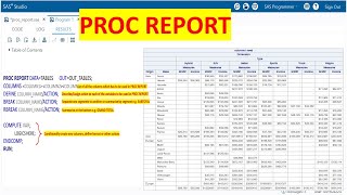 PROC REPORT in SASCombining the power of PROC TABULATE PROC FREQ PROC MEANS into One Procedure [upl. by Ennoryt115]